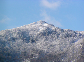 参道から矢筈山